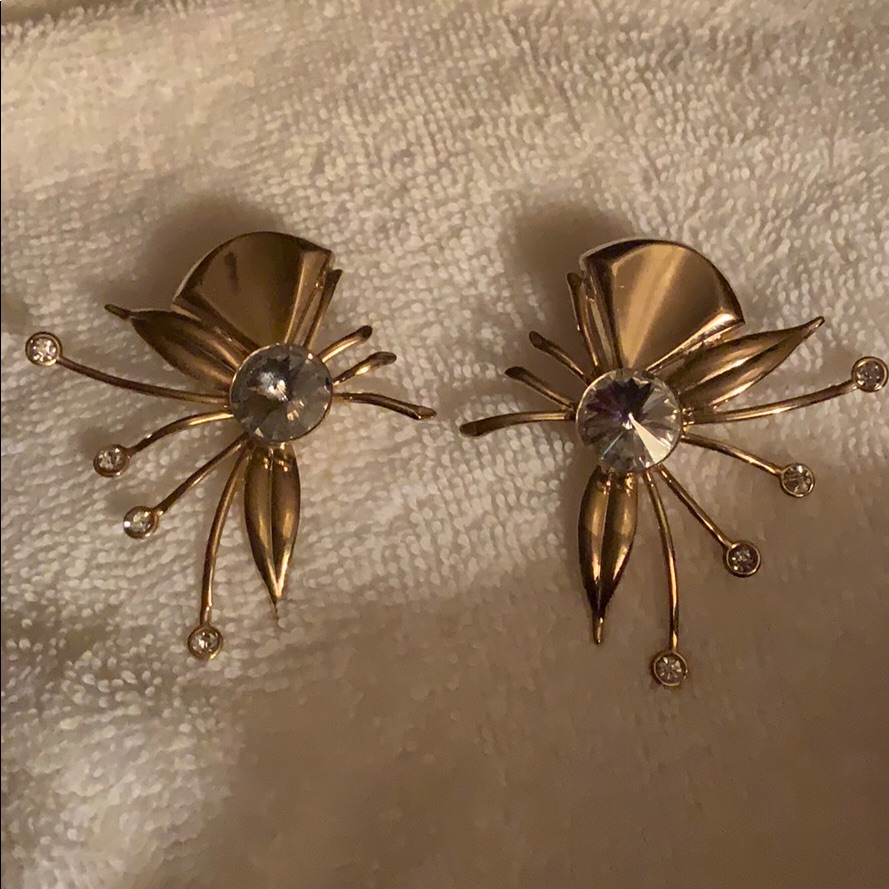 Fashion Earrings